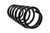 Terrain Tamer Rear Coil Springs 40mm 100Kg suitable for Landcruiser 80 & 105
