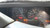 7709 - 10/01, TOYOTA HDJ79 LANDCRUISER, 1HD-FTE, 5SPD