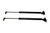 Tailgate Gas Struts Pair suitable for Landcruiser 200 Series URJ UZJ VDJ 09-2007 to 2017 - BSTA010