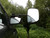 Caravan Towing Mirrors - Milenco Grand Aero 3 XXL - Convex 41cm extensions arms