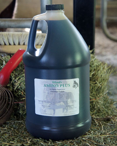 Hiland's Amino Plus | Horse Supplement | Big Sky Minerals