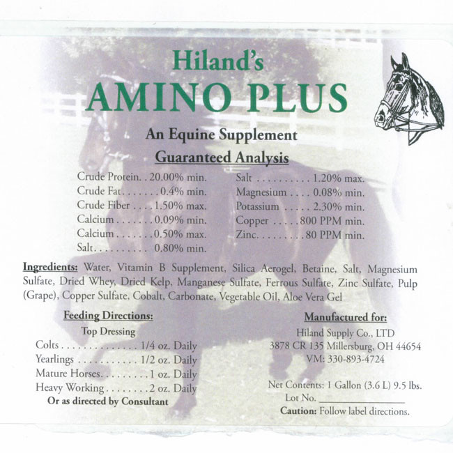 Hiland's Amino Plus | Horse Supplement | Big Sky Minerals