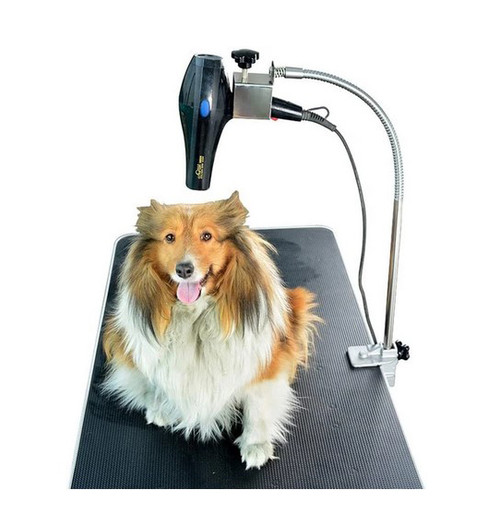 Pet Dryer Hose Holder with Clamp