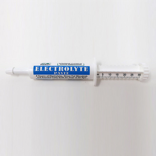 Electrolyte Paste