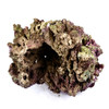 Fiji Live Rock (Air shipped fresh) pr pound