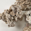 Fiji Pukani Rubble close-up