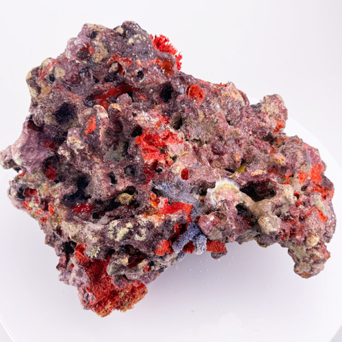 MarcoRocks Maricultured Live Rock MarcoRocks Maricultured Live Rock