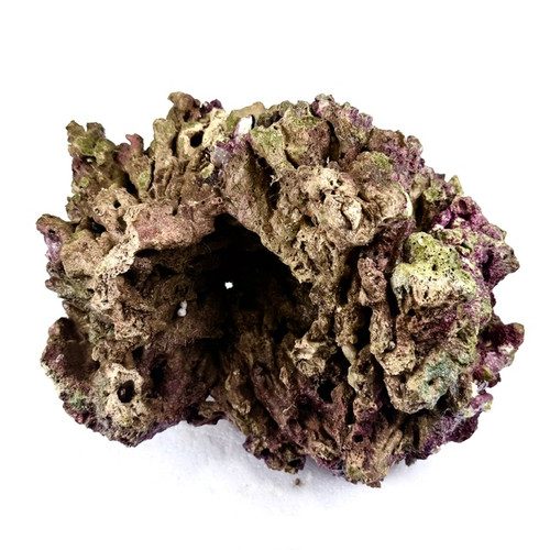 Fiji Live Rock (Air shipped fresh) pr pound