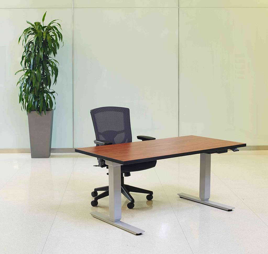 ERGOFLEX Electric Height and Width Adjustable Frame