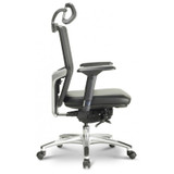 Argento Ergonomic Executive Task Chair