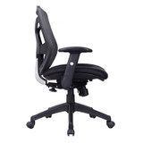Kripton Ergonomic Task Chair
