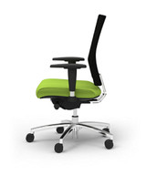 Ambarella Task Chair