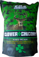 Real World Clover & Chicory