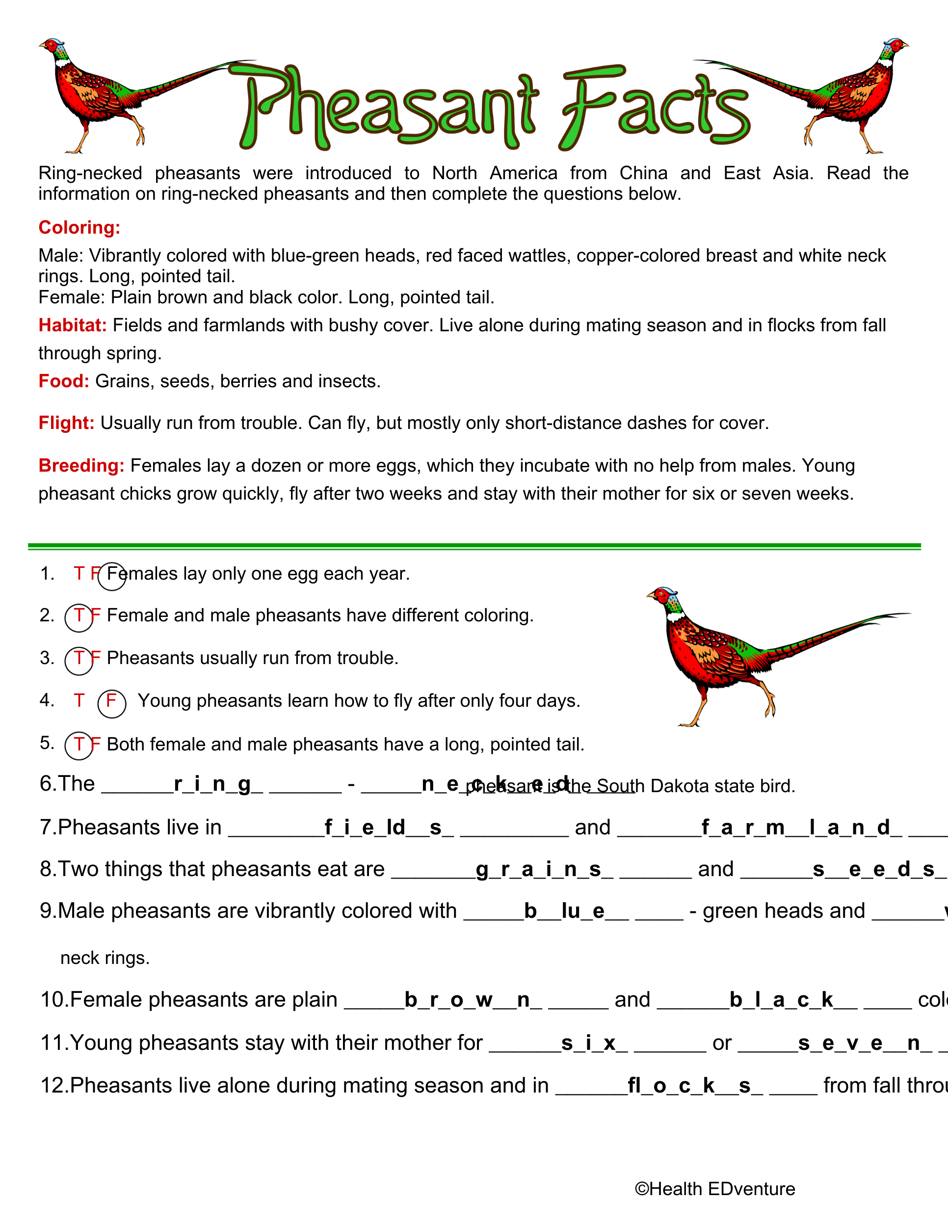 pheasant-trivia-answers.png