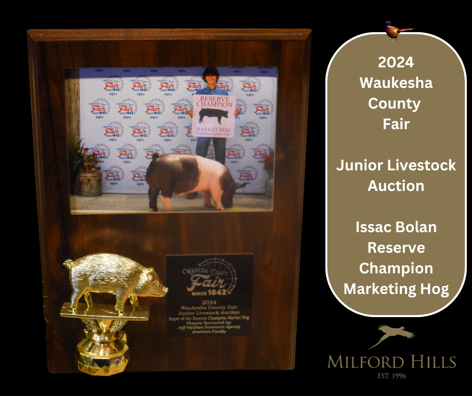 waukesha-county-fair-livestock-auction-2024-2.png