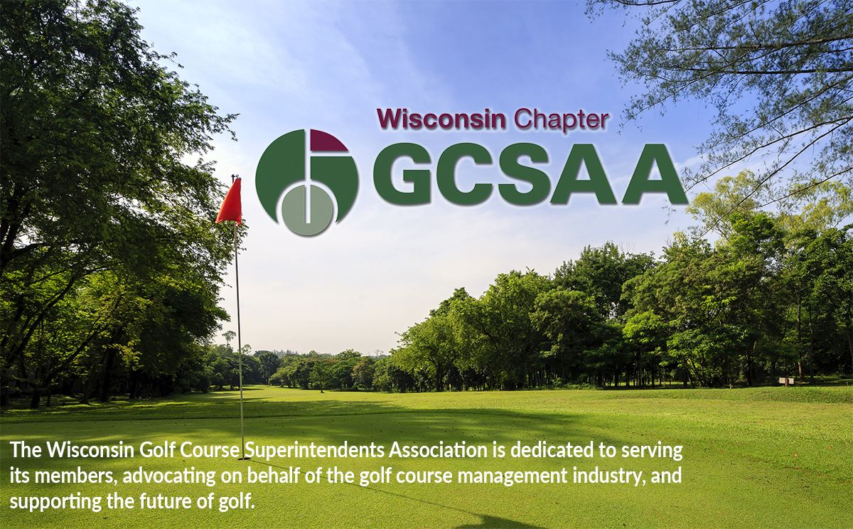 wgcsa-logo.png