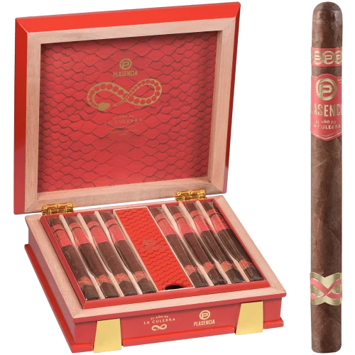 Plasencia Year of the Snake 2025