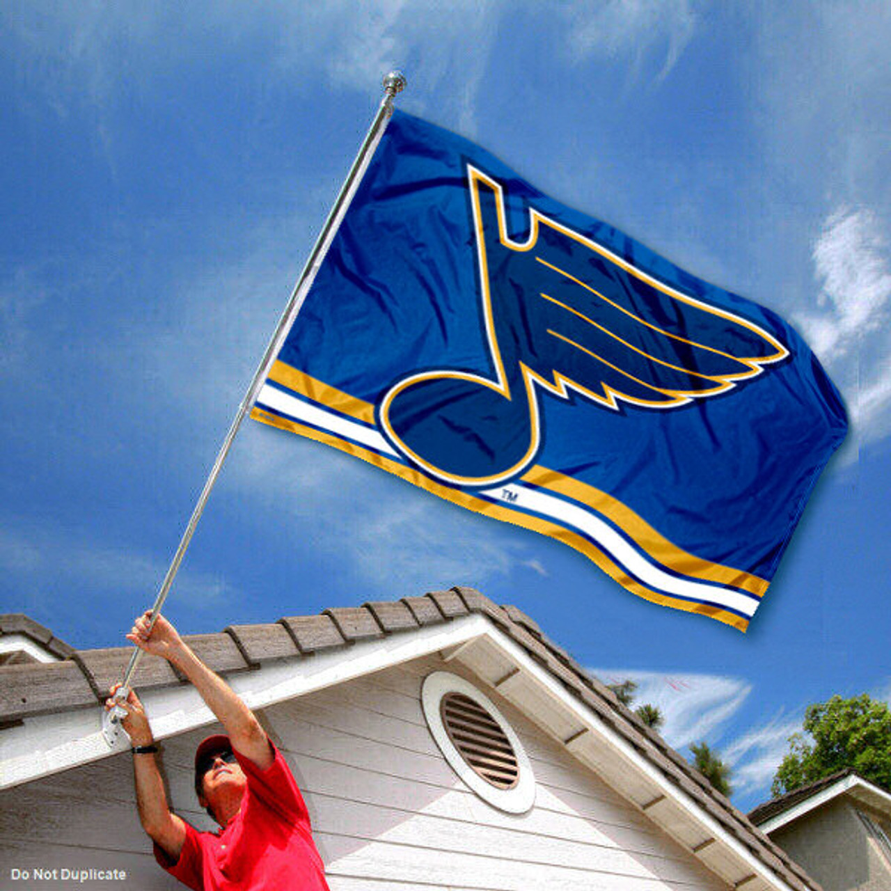 St. Louis Blues Logo Insignia 3x5 Feet Banner Flag