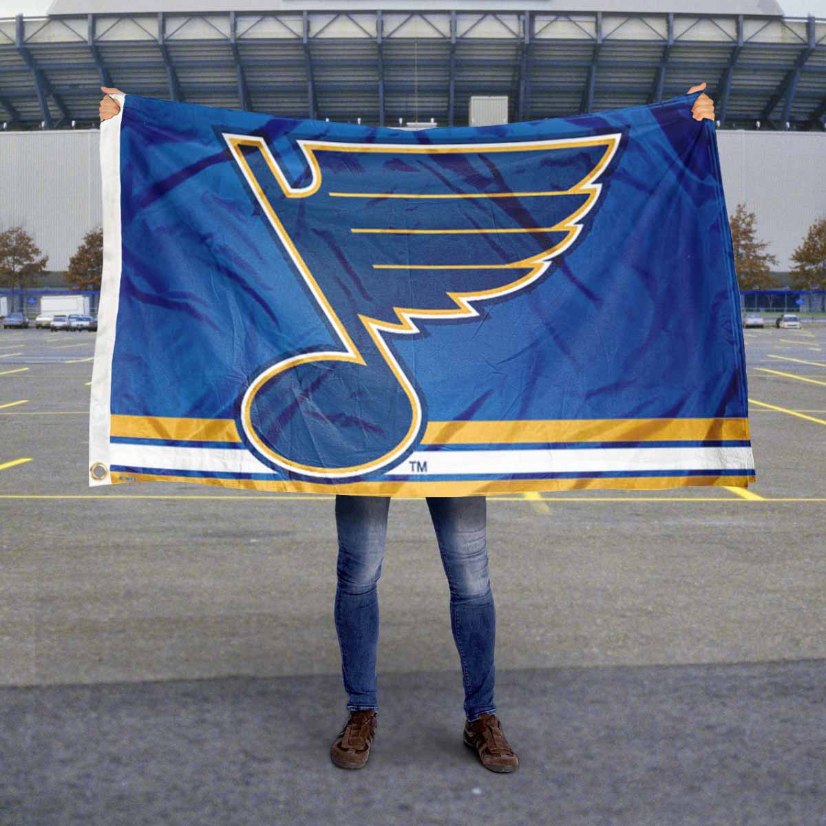 WinCraft St. Louis Blues Two Sided House Flag