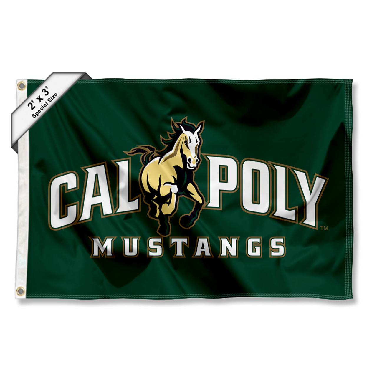 Mustangs In the Pros - Cal Poly