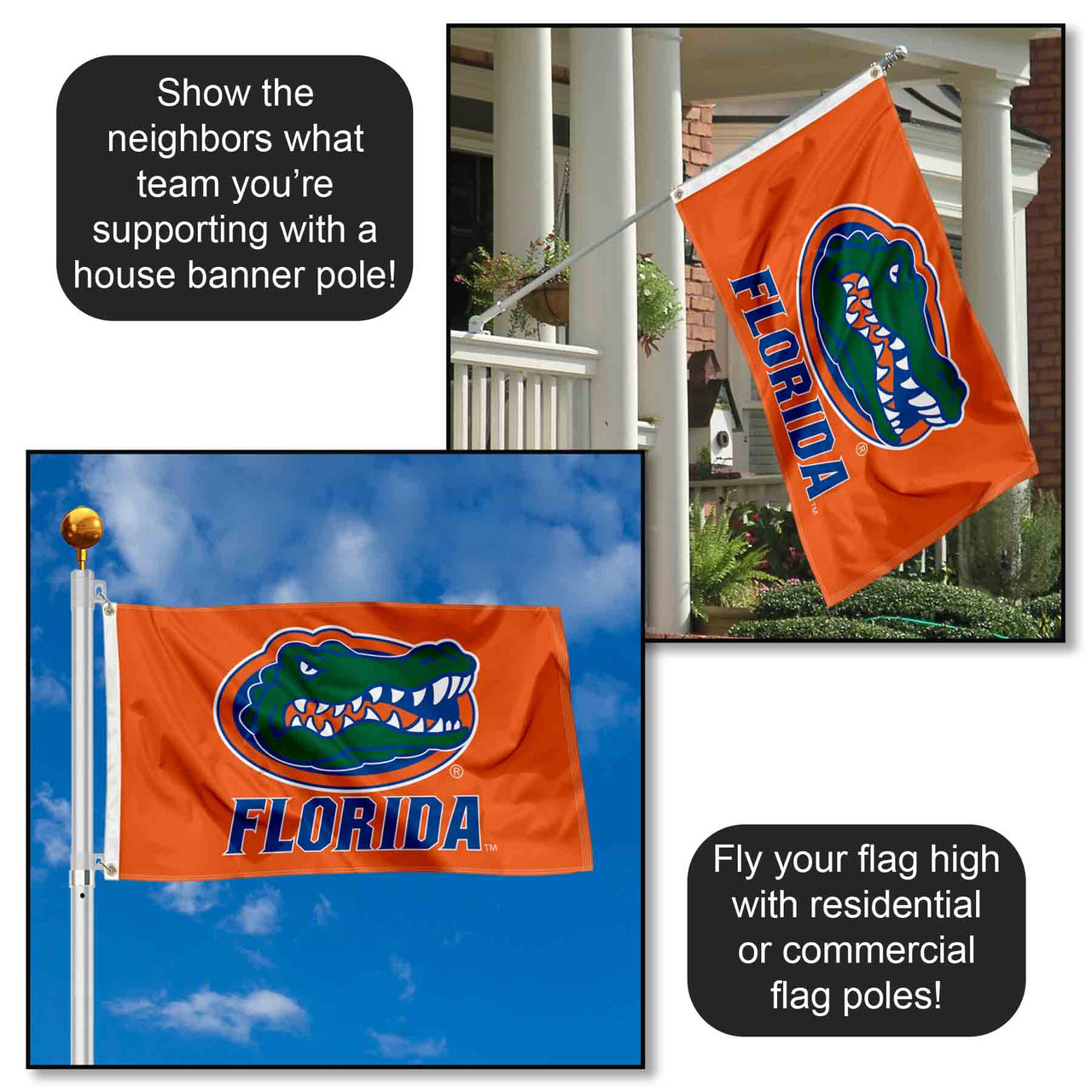 Florida visual data 4