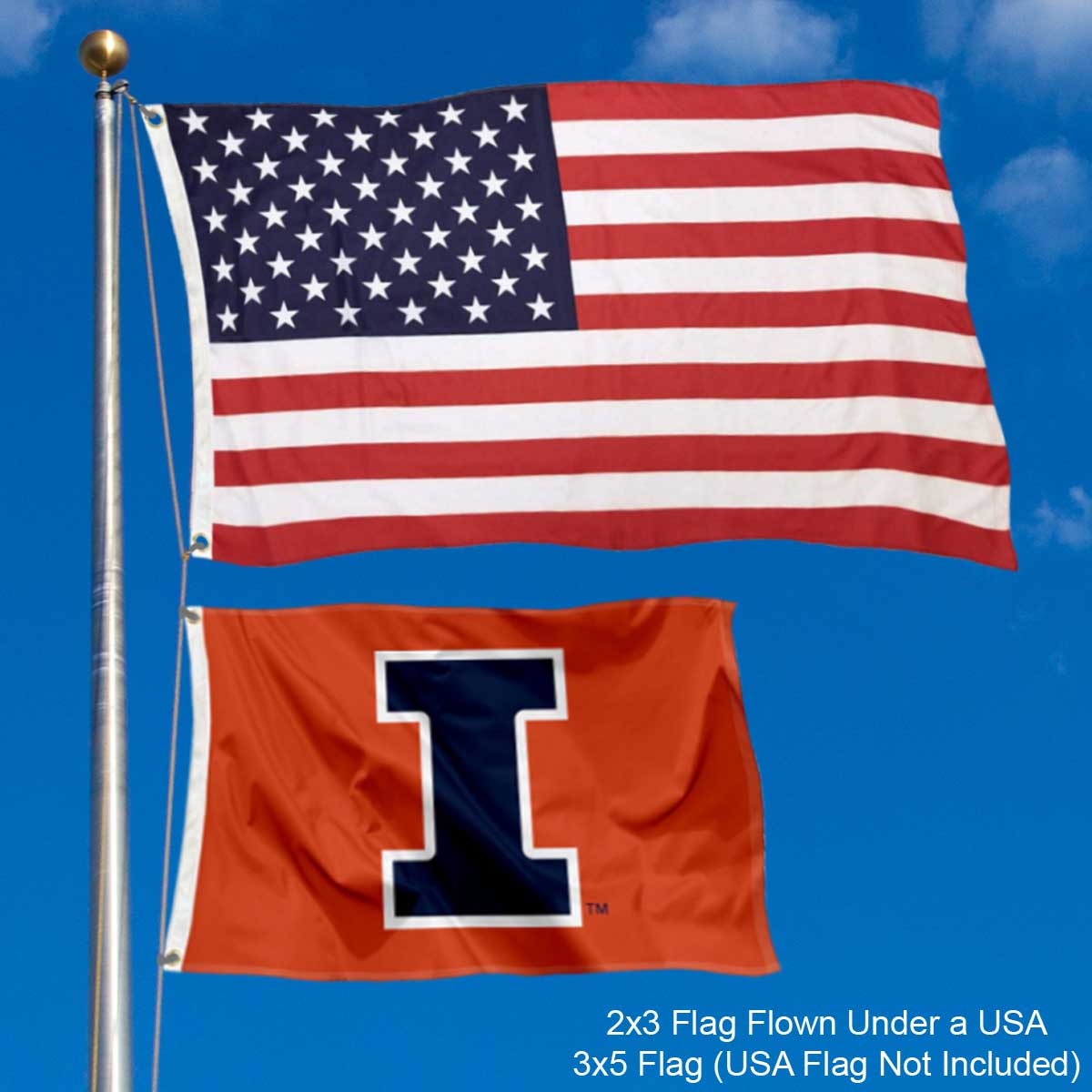 Desert Cactus University Of Illinois Flagge – 90x150 Cm, 100% Polyester, Zweiseitig Bedruckt