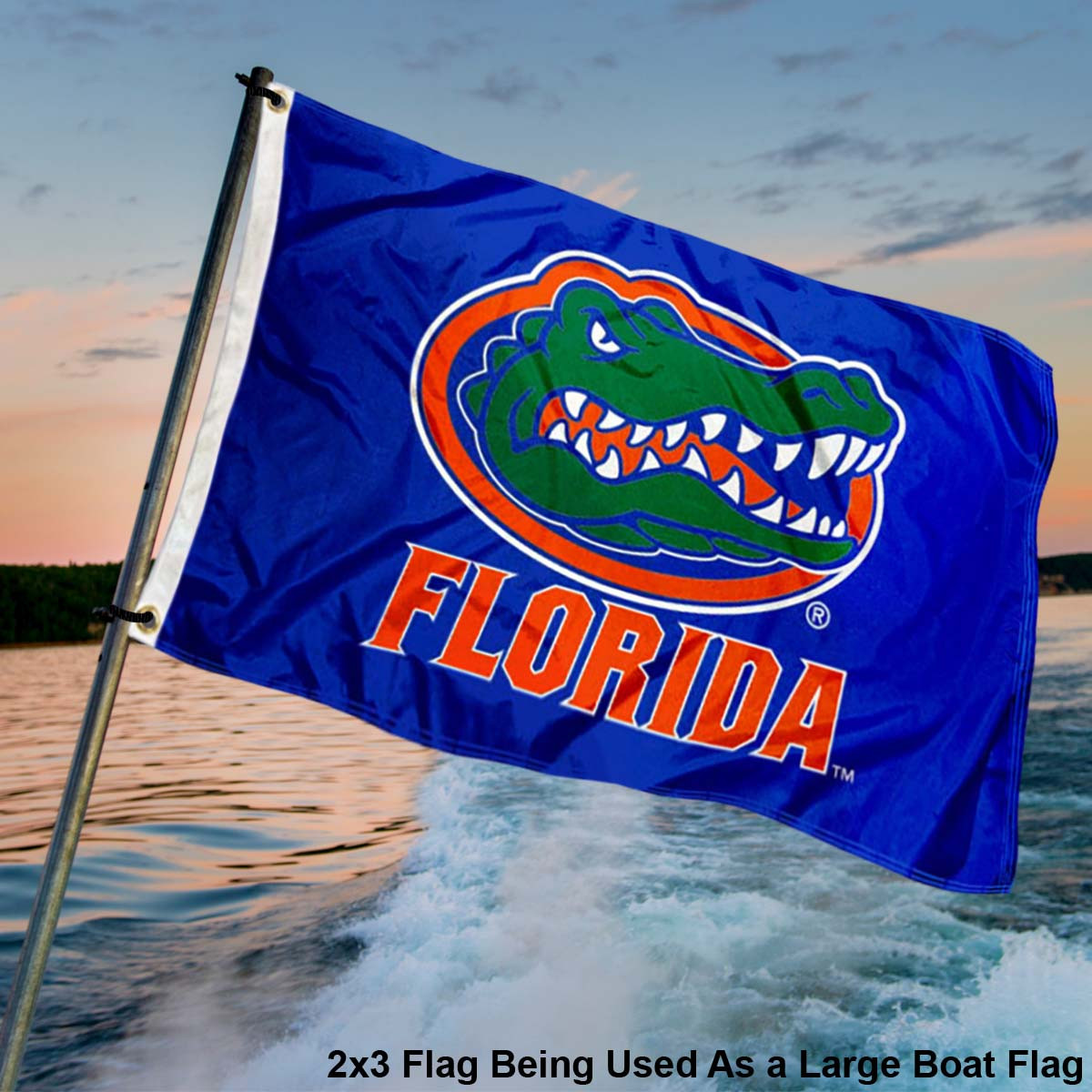 Florida UF Gators Small 2x3 Flag - State Street Products