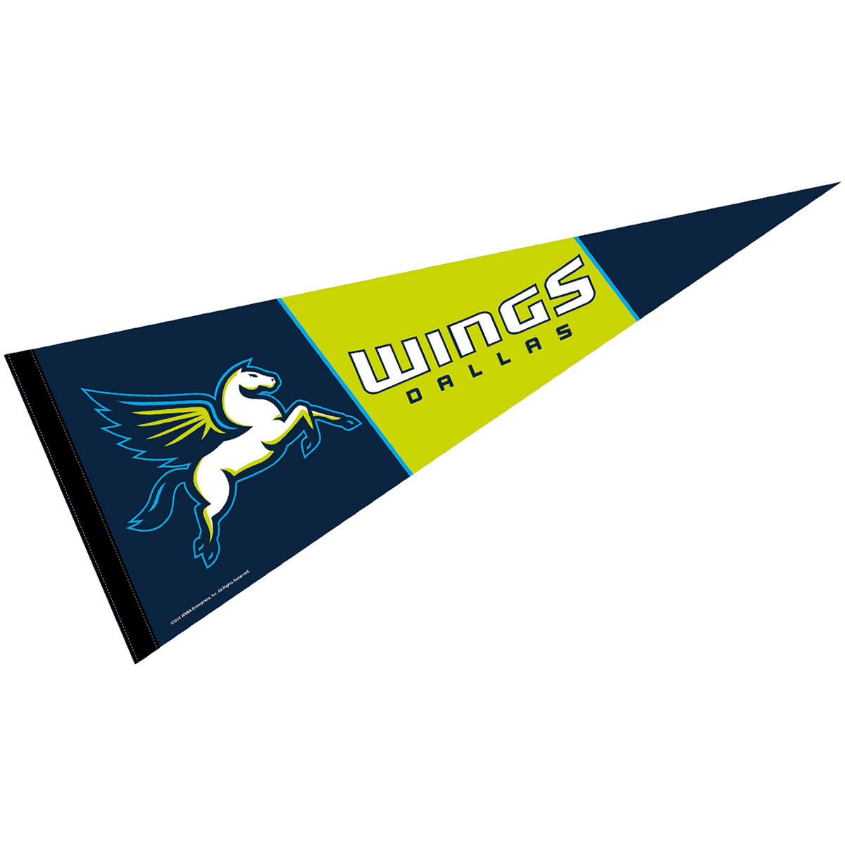 Dallas Wings Pennant State Street Products