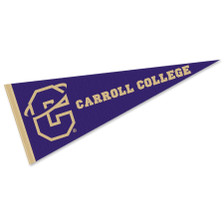 Carroll Fighting Saints Wordmark Logo Pennant
