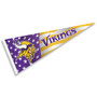 Minnesota Vikings Nation USA Americana Stars and Stripes Pennant Flag