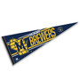 Milwaukee Brewers State of Wisconsin Retro M Pennant