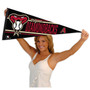 Arizona Diamondbacks Pennant