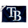 Tampa Bay Rays Boat and Nautical Flag