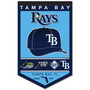 Tampa Bay Rays History Heritage Logo Banner