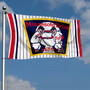 Minnesota Twins Retro Vintage Throwback Logo 3x5 Large Banner Flag