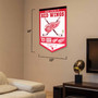 Detroit Red Wings History Heritage Logo Banner