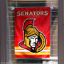 Ottawa Senators Garden Flag