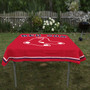 Boston Red Sox Tablecloth Table Overlay Cover