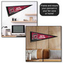 University of South Carolina Pennant