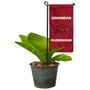 Arkansas Razorbacks Flower Pot Topper Flag