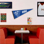 Georgia State University Pennant Decorations