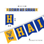 Pittsburgh Panthers Banner String Pennant Flags