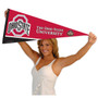 Sports Pennant for Ohio State University