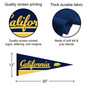 Cal Berkeley Golden Bears Logo Pennant