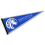 FSU Broncos Pennant