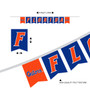 Florida Gators Banner String Pennant Flags