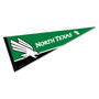 University of North Texas Decorations