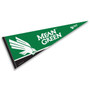University of North Texas Decorations