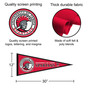 Tampa Spartans Pennant