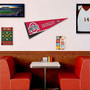 Ohio State Buckeyes Banner Pennant with Tack Wall Pads
